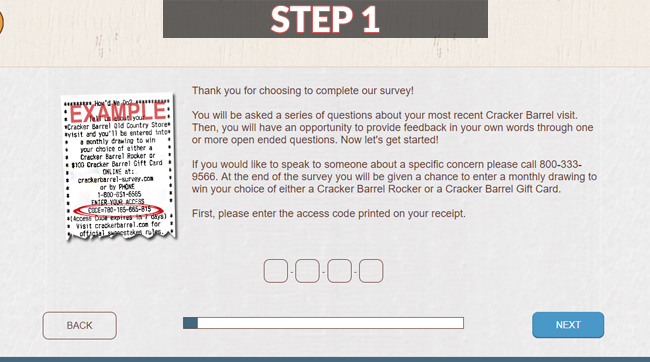 crackerbarrel survey